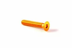 CARBON-TI X-CAP TORX Spare Bolt (VITE STERZO)