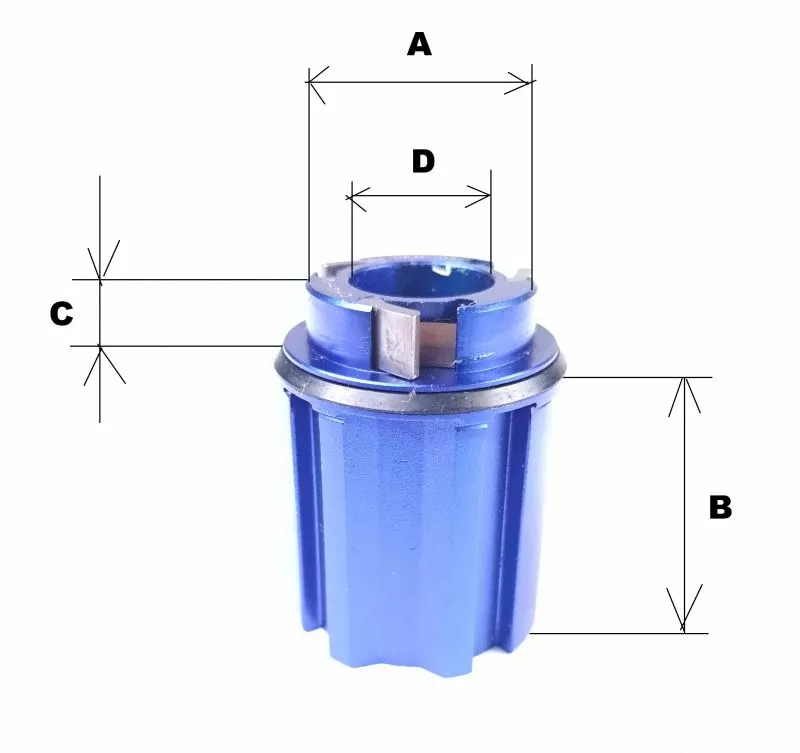 XENTIS RUOTA LIBERA CAMPY 10/11V STRADA (Per Mozzi XENTIS Old) - Image 4