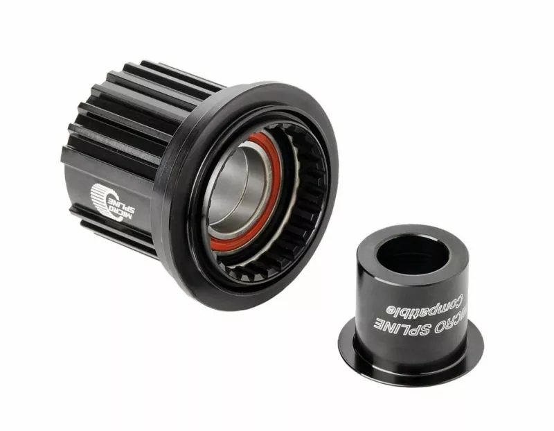 Dt-swiss DT SWISS RUOTA LIBERA SHIMANO 12v MS Ratchet